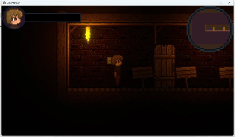 图片[1]-安卓+电脑【像素ACT动态】Drain Mansion v2.0.4-大壮游戏