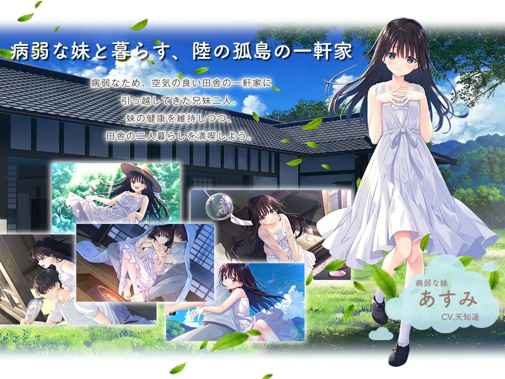 安卓+电脑【爆款RPG全CV】痴情哥哥与病弱妹妹的乡间生活 20260620 DLC(1-5) 骑 ty模拟器玩-大壮游戏