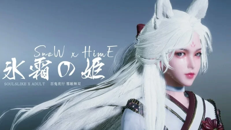 图片[1]-电脑版【神作ACT动态】冰霜之姬V1.9.0 官中 步-大壮游戏