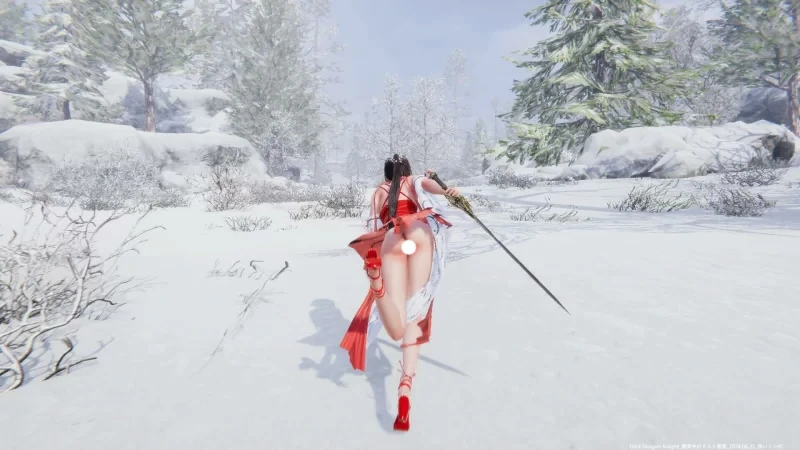 图片[5]-电脑版【神作ACT动态】冰霜之姬V1.9.0 官中 步-大壮游戏