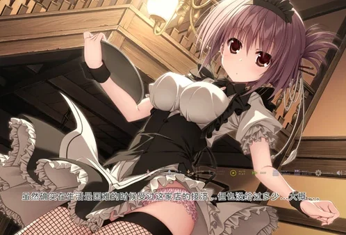 电脑版【精品大型ADV/CV】樱之诗 10 周年纪念版 全CG存档 骑-大壮游戏