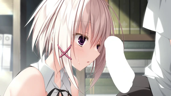 图片[13]-电脑版【精品大型ADV/CV】樱之诗 10 周年纪念版 全CG存档 骑-大壮游戏