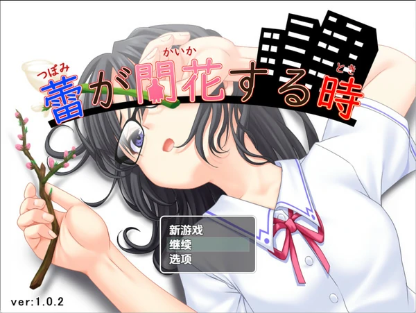 图片[7]-安卓+电脑【日系RPG汉化】花蕾绽放之时v1.1.1 作弊 骑-大壮游戏