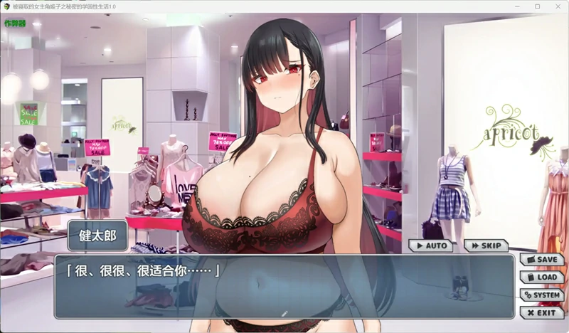 图片[6]-安卓+电脑【日系/RPG/汉化/学园】被寝取的女主角姬子之秘密的学园性生活1.0 作弊 骑-大壮游戏