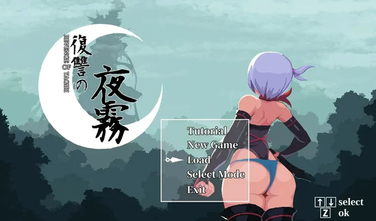 电脑版【日系ACT/动态/动作】复仇的夜雾v1.02 官中 步-大壮游戏