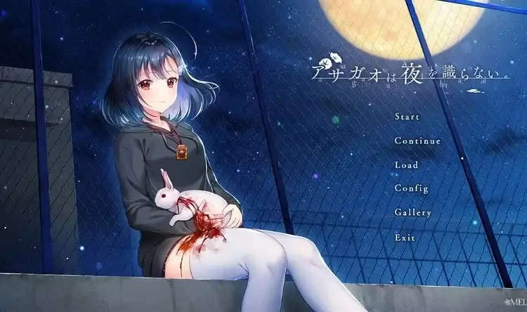 PC电脑版【ADV/CV】牵牛花不识夜间 アサガオは夜を識らない v1.01 骑-大壮游戏